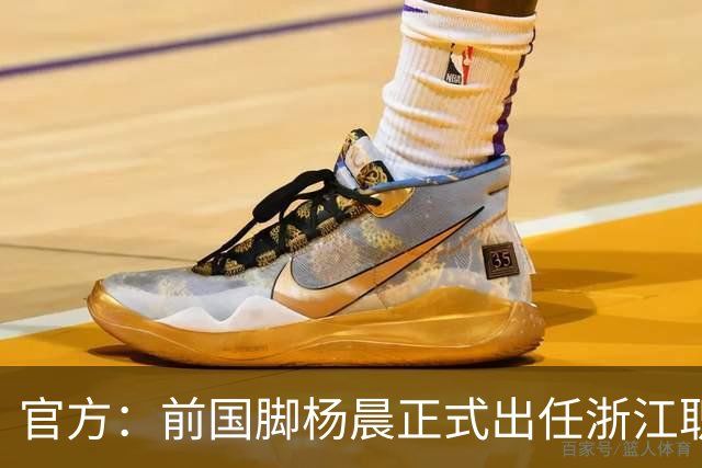 官方：前国脚杨晨正式出任浙江职业足球俱乐部总经理